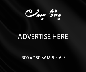 spot_img