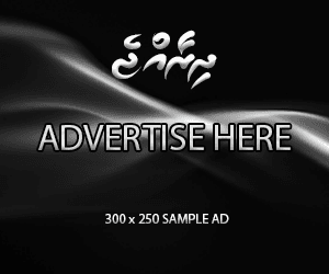 spot_img