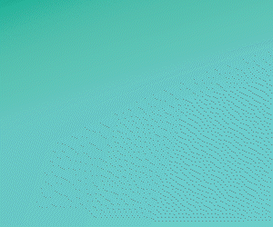 spot_img
